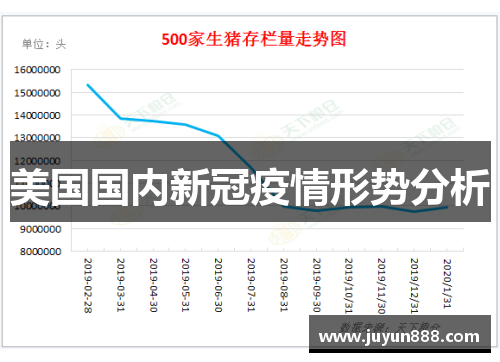 美国国内新冠疫情形势分析