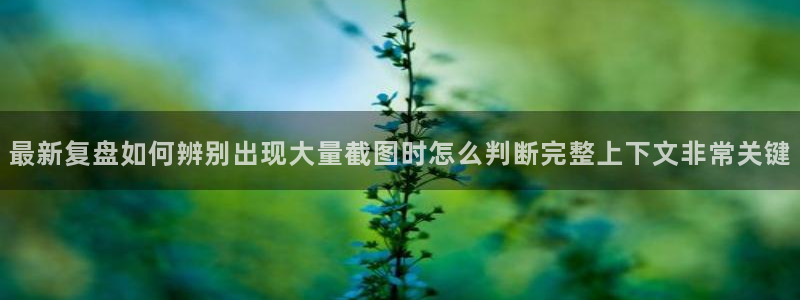 吃瓜新闻最新消息