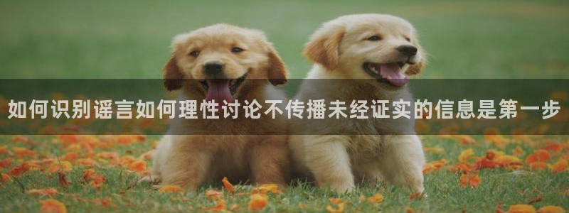 网络热点信息核验