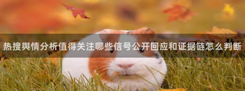 吃瓜新闻最新消息
