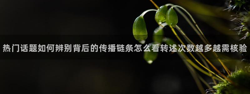 51吃瓜完整时间线