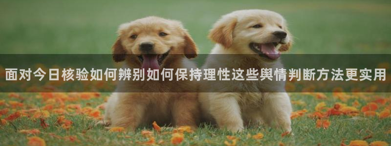 吃瓜