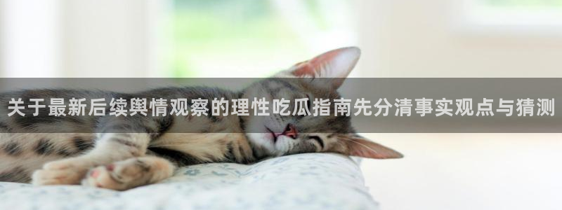 吃瓜真相最新消息